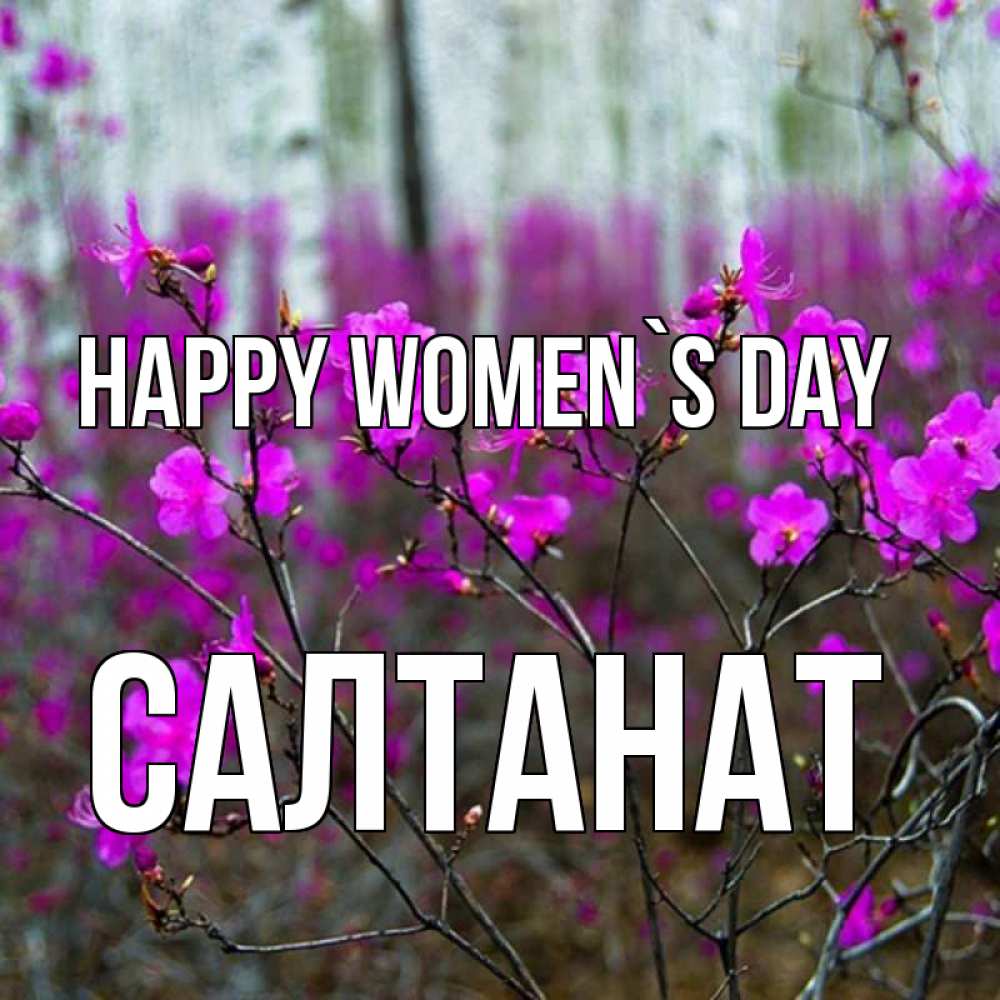 Greetings card с именем, САЛТАНАТ happy women`s day дикие цветы Greetings with text for free download 